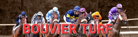 gouveturf blogspot|BOUVIER TURF .